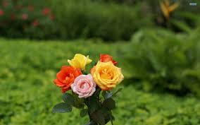 flowers
